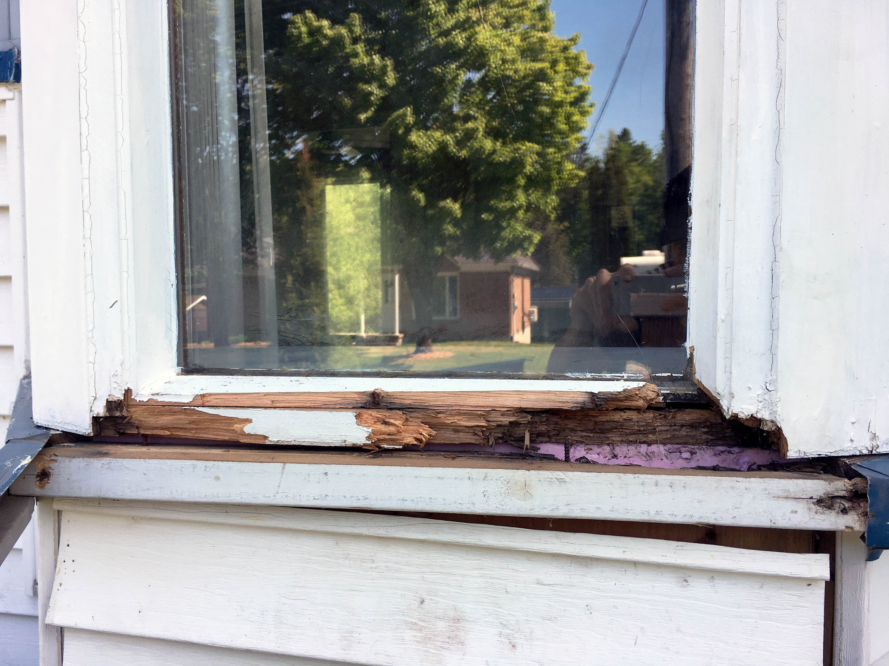 bay-window (8)